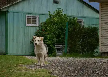 Орлиный Залёт - 11