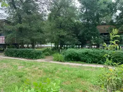 База отдыха электродного завода - 41
