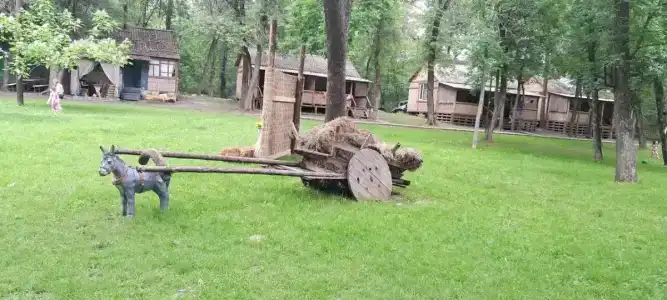 Камышовый Рай - 57