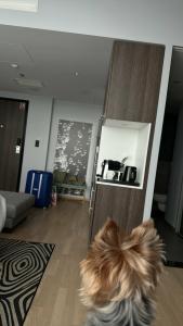 Nyx Warsaw By Leonardos - 31