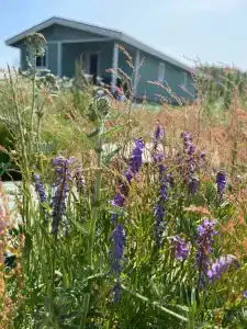 Вареновка - 89