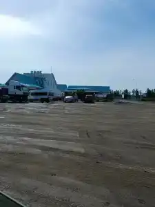Светлана - 8