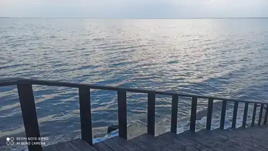 Причал 55 - 54