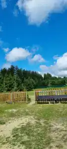 Дубрава - 17