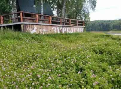 Зурбаган - 39