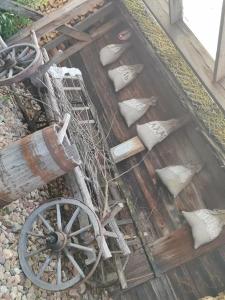 Беловежское Поместье - 73