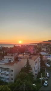 Пальмира - 93