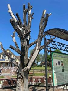 Николаевские Пруды - 37