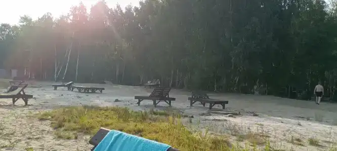 Солнечная поляна - 31