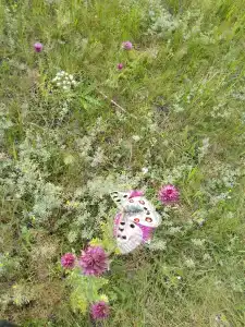 Ологужан - 44