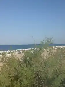 Синдика - 8