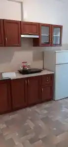 Розовый Фламинго - 21