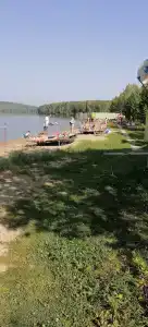 Чайка - 15