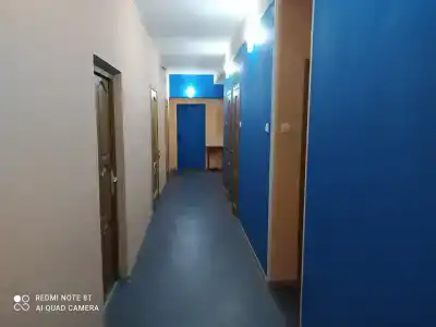 Альянс - 41