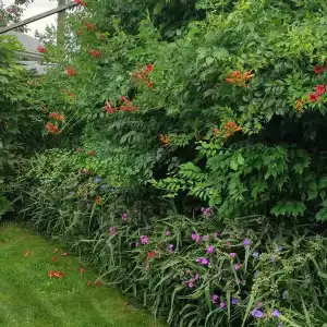 Морское Небо - 5