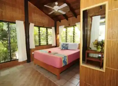 Coconut Grove Beachfront Cottages - 4