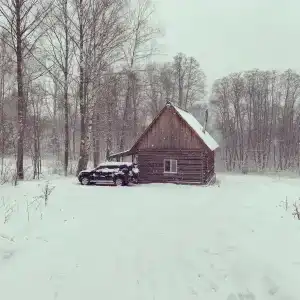 Кабанчики - 3
