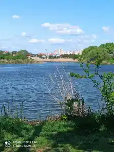 Пикниковая поляна - 3