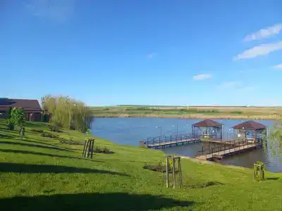 Полевой Стан - 31