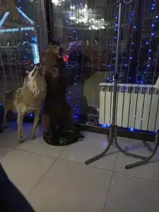 Горный воздух - 43
