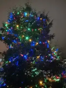 Гостевой дом в Центральном Парке - 20