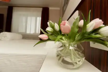 Дубрава Плюс - 6