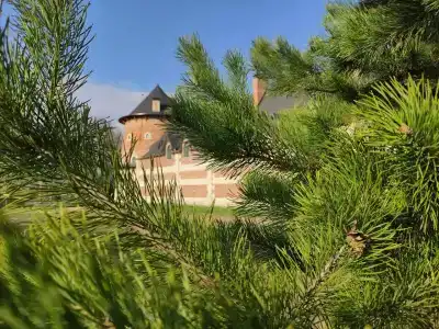 Замок La Ferme de Reve - 29