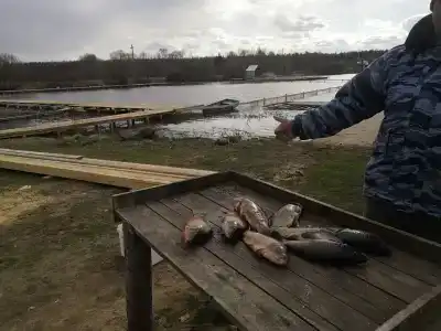 Рыбалка на Юдинках - 18