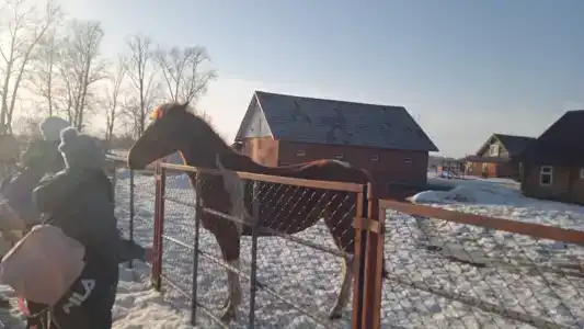 Степаново городище - 40