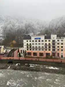 Голден Тюлип - 44