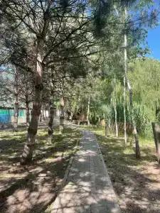 Тихая гавань - 3