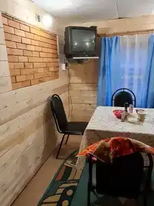 Стрижели - 23