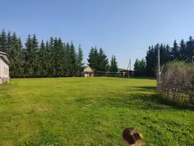 Чистая заводь - 30
