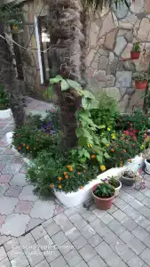 Ростовчанка - 90