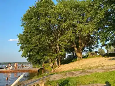 Зелёная роща - 2