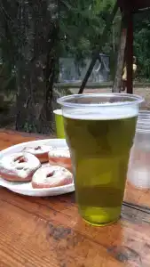 Хвойный бор - 21