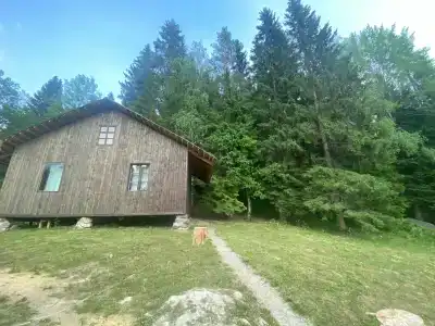 Хутор Нестора - 48