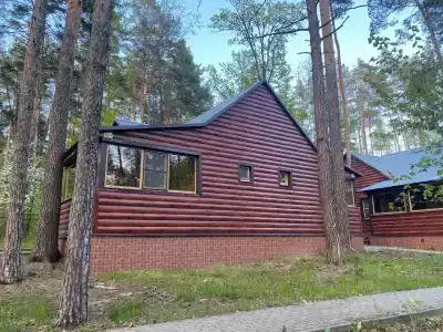 Иволга - 23
