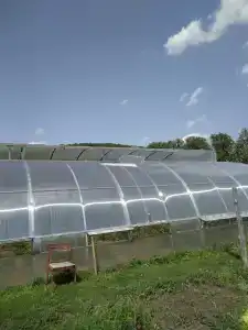Ягодная Поляна - 30