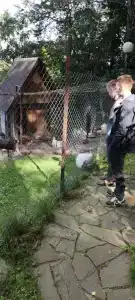 Лесная поляна - 25