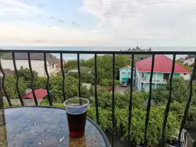 Орхидея - 17