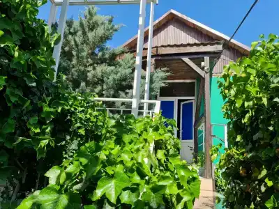 Волшебный Дворик - 33