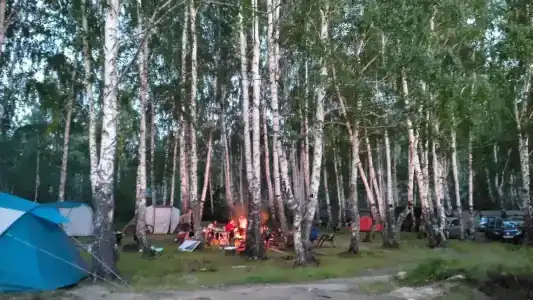 Поляна - 30