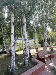 Старая провинция - 66