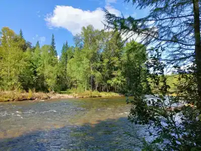 Загородный дом - 41