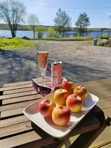 Зайкина дача - 78