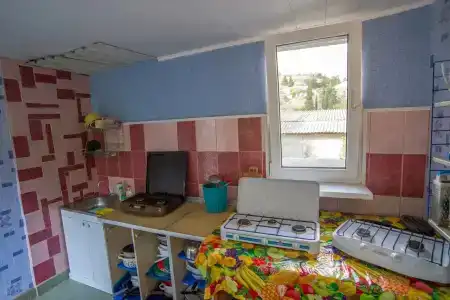 Светлана - 5
