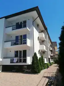 Платан - 46