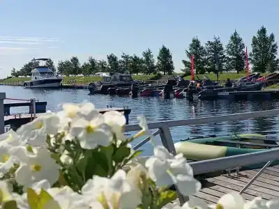 Мир Маяков - 52