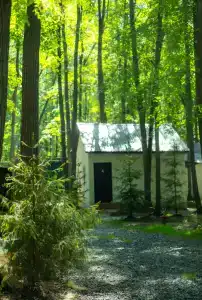 Монте-Карло - 82